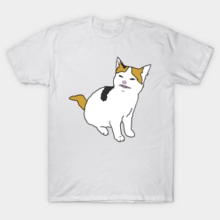 Cat no like banana T-Shirt